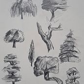 Pràctica Arbres. Un progetto di Illustrazione tradizionale di mani_23 - 20.02.2025
