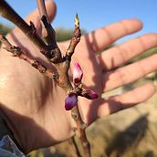 Natura. Br, ing, Identit, Graphic Design, Social Media Design, and Web Design project by yessica_acuario92 - 02.20.2025