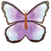 Ilustración para productos Ein Projekt aus dem Bereich Artistische Zeichnung, Botanische Illustration, Naturalistische Illustration und Aquarellmalerei von Angélica Isaza - 22.02.2025