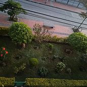 El jardín . Een project van  Creativiteit, Schrijven, Verhaallijn, Stor, telling y Creatief schrijven van Lina Bernal - 23.02.2025