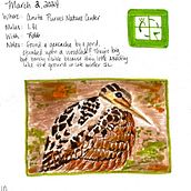 52 Hikes Illustrated Journal. Een project van Tekening, Schilderij, Sketchbook y Schetsen van Katrina - 23.02.2025