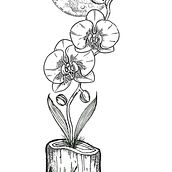 Orquid under the moon. Un progetto di Disegno, Disegno digitale, Design di tatuaggi, Graphic design, Illustrazione tradizionale e Illustrazione digitale di Stephanie Semidey - 25.02.2025
