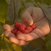 Proyecto Final. Color Correction, Film, Video, TV, Photograph, Post-production, TV, Video, and Video Editing project by ariannacordovad - 02.25.2025