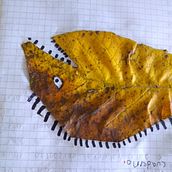 CREANDO CON HOJAS SECAS Ein Projekt aus dem Bereich Schrift, Kinderillustration, Stor, telling, Erzählung, Kreatives Schreiben und Kinder- und Jugendliteratur von Liliana Ordoñez - 26.02.2025