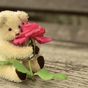 Minha intensidade em versos Poesia e sentimento. Un progetto di Comunicazione, Cop, writing, Marketing, Content marketing, Stor e telling di Beatriz Adrien - 27.02.2025