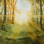 Morning Light. Un projet de Aquarelle de David Brinker - 28.02.2025