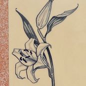 My first lily. Tattoo Design project by semprinichristine - 02.28.2025