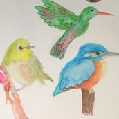 Watercolor Birds on Branches. Un proyecto de Ilustración tradicional, Pintura a la acuarela, Dibujo realista e Ilustración naturalista				 de ana_1349 - 03.03.2025