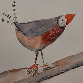 El pájaro cebra. Un proyecto de Dibujo de Emma Miller - 03.03.2025