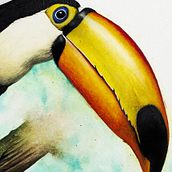TUcan. Projekt z dziedziny Trad, c, jna ilustracja,  Sztuki piękne,  R, sunek,  Malarstwo, Malowanie akwarelą, Stor, telling, Ilustracje dla dzieci, Portret, Ilustracja naturalist, czna,  R, sunek art, st, czn, Ilustracja w i dawnicza użytkownika James Parisi - 03.03.2025