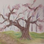 estudi d'arbres. Un progetto di Disegno di loreenaagomeezz - 04.03.2025