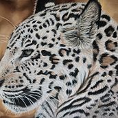 Jaguar . Traditional illustration project by j_koroneko - 03.06.2025
