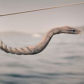 Cuerda peligrosa Ein Projekt aus dem Bereich Fotomontage, Fotografische Komposition, Fotoretuschierung und Matte Painting von Sandra - 08.03.2025