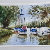 Acuarela Marina. Un proyecto de Ilustración naturalista				, Pintura y Pintura a la acuarela de noeliamelina - 08.03.2025