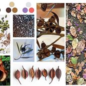 Seeds of Change - A Project for Surface Patterns Inspired By Nature. Een project van Digitale illustratie, Schilderen met gouache, Patroonontwerp y Textielontwerp van Manuela Taboada - 10.03.2025