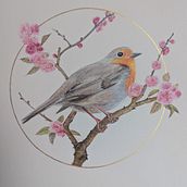 Rouge-gorge en filigrane et touches métalliques. Un progetto di Disegno a matita, Pittura ad acquerello, Disegno, Creatività, Disegno artistico e Disegno realistico di Marie-françoise Le Néen - 10.03.2025
