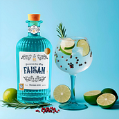 Gin Faisan . Digital Lettering, H, Lettering, Traditional illustration, Lettering, Packaging, Digital Illustration, and Product Design project by Jusmeliannys Ramírez Guevara - 03.13.2025
