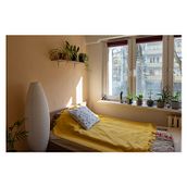 Home decorating with plants . % Martyna Kamzol tarafından hazırlanan Dekoras, on, Kendin Yap, Çiçek ve Bitki Tasarımı, Etkileşimli Tasarım, İç Dekoras, on, Ve Mekansal Tasarım projesi - 03.13.2025