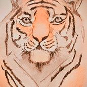 tigre en acuarela. Traditional illustration, Watercolor Painting, Fine Arts, and Naturalistic Illustration project by oligardom3 - 03.13.2025