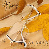 Perfil para Óptica Optivisión. Inteligência Artificial, Business, Marketing digital, e Redes sociais projeto de Rosana Perales - 13.03.2025