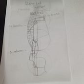 Dibujo anatómico para principiantes. Un progetto di Belle arti, Disegno, Disegno a matita, Disegno realistico, Disegno anatomico e Bozzetti di Adrián Miranda Guadalupe - 14.03.2025