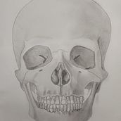 Caveira. Drawing, Figure Drawing, Pencil Drawing, Realistic Drawing, and Fine Arts project by Leonardo Santiago Meyer - 03.16.2025