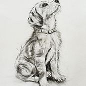 animal illustration with charcoal and ink. Drawing, Ink Illustration, Naturalistic Illustration, and Fine Arts project by kathrynga - 03.17.2025