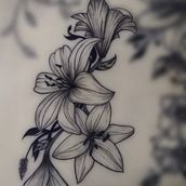 Proyecto final ¨LILIUM¨. Un progetto di Design di tatuaggi e Illustrazione tradizionale di trinidadr2017 - 18.03.2025
