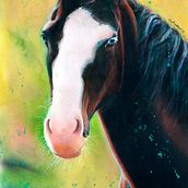 Wild. Un proyecto de Dibujo, Dibujo a lápiz, Dibujo de Retrato, Dibujo artístico, Dibujo realista, Dibujo con lápices de colores, Dibujo anatómico, Pintura a la acuarela, Ilustración naturalista				, Ilustración editorial, Ilustración con tinta, Ilustración botánica, Álbum ilustrado						 e Ilustración tradicional de Mentiradeloro Esther Cuesta - 21.03.2025