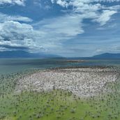 Sabana Real. Un progetto di Postproduzione fotografica, Video editing, Postproduzione audiovisiva e Video di Victor Santana - 22.03.2025