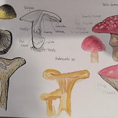 Resultado del Curso. Een project van Traditionele illustratie, Aquarelschilderen,  Botanische illustratie y Sketchbook van Angeli Rodriguez Infante - 24.03.2025