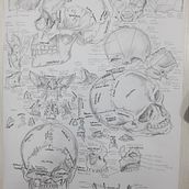 Dibujo cráneo y sus partes. Un progetto di Disegno anatomico di Ricardo Cabrera - 24.03.2025