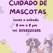 promocion de tienda y cuidado para mascotas. Un progetto di Content marketing, Marketing digitale, Marketing per Facebook, Growth Marketing, Marketing per Instagram, Marketing, Mobile marketing e Social media di morajuliana13 - 25.03.2025