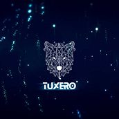 Tuxero - Music Electronic Producer. Un progetto di Content marketing, Marketing digitale, Marketing per Facebook, Marketing per Instagram, Marketing, Social media, Stor e telling di Rafael Vera - 26.03.2025
