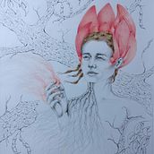 Ceibo, magia natural. 2025. Desenho, Ilustração tradicional, e Sketchbook projeto de Ana Maria Aranda - 27.03.2025