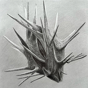 Creep.Pod. Un progetto di Disegno realistico, Disegno e Disegno a matita di skylarborgstrom - 28.03.2025