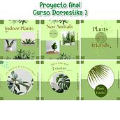 Proyecto Final: tienda ficticia de plantas. Br, ing, Identit, Design, Logo Design, Graphic Design, T, pograph, Design, T, and pograph project by Isabel Martínez Calvo - 03.30.2025