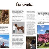 Bohemia . Character Design, Children's Illustration, Children's Literature, Creative Writing, Digital Illustration, Fine Arts, and Writing project by jakirmafapa - 03.31.2025