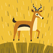 A for Antelope: A Morphing Motion. Un projet de Animation 2D, Animation, Illustration numérique, Illustration traditionnelle, Motion design et Illustration animée de Katerina Grekhova - 01.04.2025