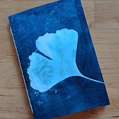 Cianotipos . Arts, Crafts, Fine Arts, Printing, Film Photograph, and DIY project by ktdimi - 04.01.2025