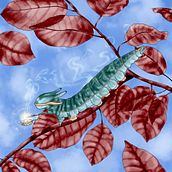 Caterpillar on a beech tree. Digital Illustration, Digital Drawing, and Botanical Illustration project by spora_morph - 04.02.2025