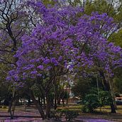 Fotografia con Smarthphones. Instagram Photograph, Mobile Photograph, and Outdoor Photograph project by Oscar Velasco - 04.03.2025