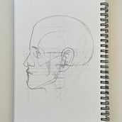 Samples of my studies. Een project van  Beeldende kunst,  Tekening, Tekening met potlood, Realistische tekening, Anatomisch tekenen y  Schetsen van Johanna - 03.04.2025