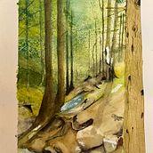 Light through the black forest. Un progetto di Pittura e Pittura ad acquerello di Didier Van Impe - 04.04.2025