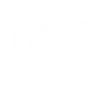 Creación de Logotipo "El Maldito Podcast". Br, ing, Identit, Design, Graphic Design, and Logo Design project by Axel Vega Rocha - 04.05.2025