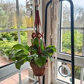 COLGADOR DE MACRAMÉ PARA PLANTAS . % Iria López González tarafından hazırlanan Sanat ve El Sanatları projesi - 04.07.2025