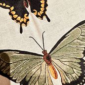 MARIPOSAS. DIY project by Laura Moretti - 04.07.2025