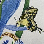 Bestuiven. Een project van Traditionele illustratie, Digitale illustratie, Tekening, Naturalistische illustratie, Botanische illustratie y Schilderen met gouache van L Magallanes - 15.04.2025