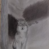 Lobo gris en una noche helada: mi entrada para el Concurso de Ilustraciones Originales. Traditional illustration, Drawing, Pencil Drawing, and Artistic Drawing project by Patricio Aqueveque - 04.16.2025