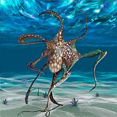 OCTOPUS. Digital Illustration project by geish_art - 04.17.2025
